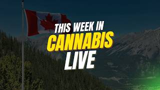 Aurora is “actively exploring” alternatives & rescheduling still on ice | This Week in Cannabis Live