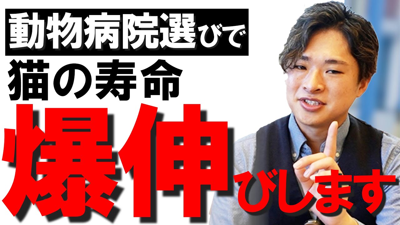 【動物病院の探し方】プロがオススメする獣医さんランキング！