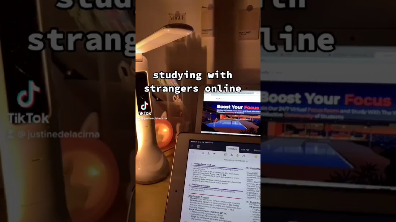 do homework with strangers zoom