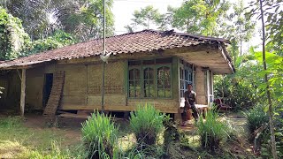 TENTRAMNYA.. Tinggal Sendiri Di Rumah Terpencil Di Pinggir Hutan | Pedesaan Sunda Jawa Barat