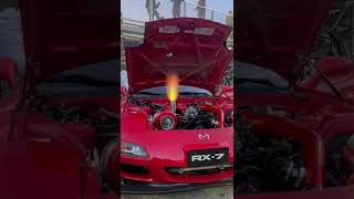Edgar's 20B 2 Step Launch Control Haltech World Cup Finals