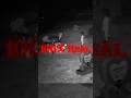 Toys Kept Vanishing From Her Son’s Grave… Trail Cam Caught This 😱