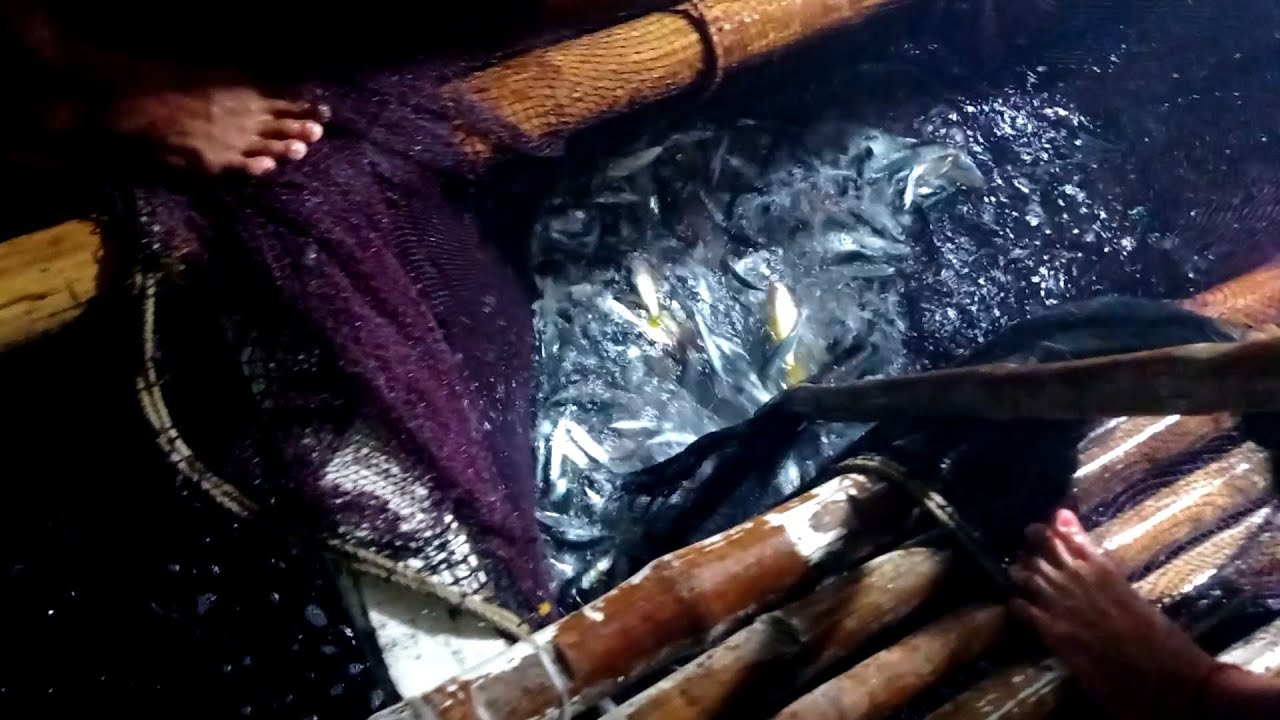 EP3- Night Net Fishing / Basnig In Palawan l may bunos pang PAWIKAN!!🐢😲 ...