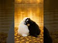 Two Puppies by the Lake | Heartwarming Autumn Moment 🐶🍂 #animalanimation #cute #relaxing #puppies