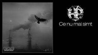 Ce Nu Mai Simt - Gri - H8