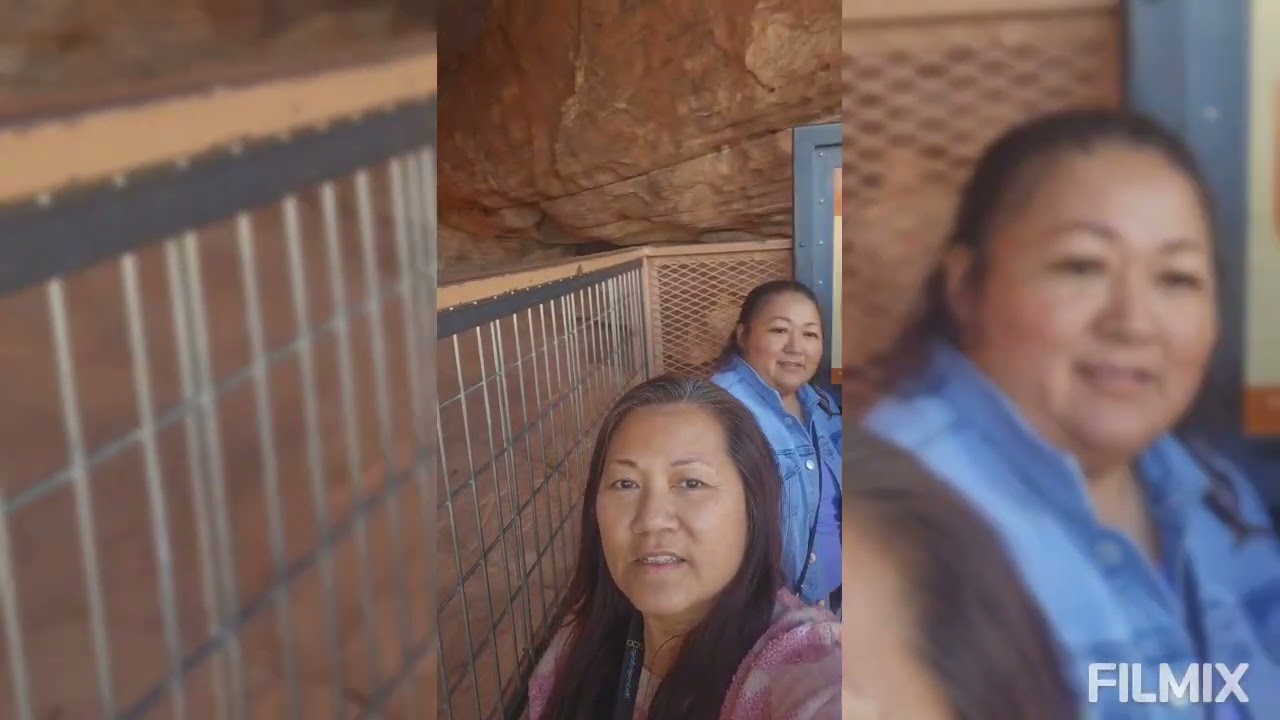 Vegas Trip Xmas 2025