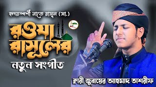 রাসূলের রওযা মোবারকে জানাই লাখো সালাম। রওযা রাসূলের।ইসলামিক গজল Jubayer Ahmed Tasrif New Gojol 2023