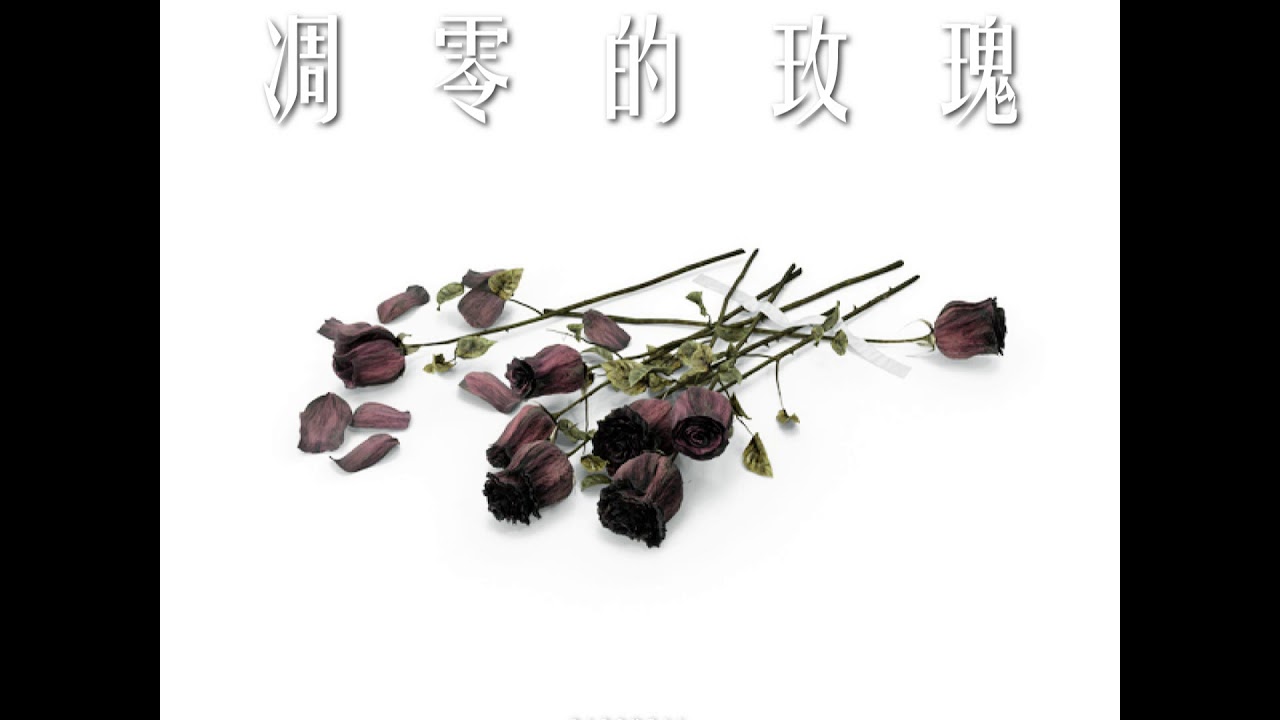音樂 Duf 凋零的玫瑰 看板hip Hop Ptt網頁版