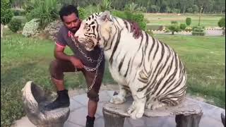 March 15, 2020 Asif Shero Wala