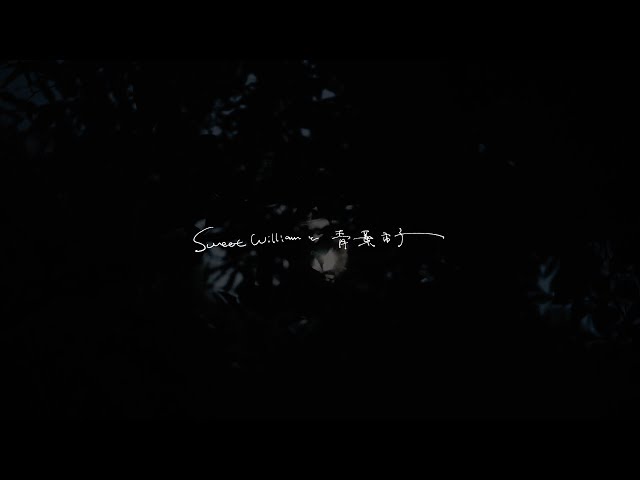 Sweet William と 青葉市子 - からかひ (Official Teaser) - YouTube