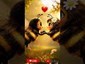 👉 We Are Happy Bees