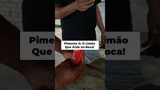 Pimentas Brasileiras - Com Tiringa, Bitelo e Giga! #bitelo #maromba #pimenta #tiringa #foryou