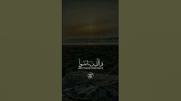 ما تيسر من سورة العنكبوت للشيخ ياسر الدوسري حفظه اللّٰه 🥀