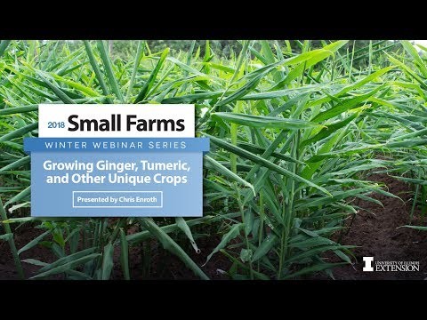 Growing Ginger, Turmeric, and Other Unique Crops, Thursday, March 22nd, 2018-Chris Enroth