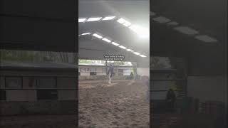 bro #horse #fall #equestrian #fail #pony #horsegirl #jumping #horseriding #judger #bro #hater #trot