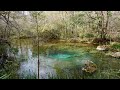 Williford Spring at Econfina Creek Water Management Area