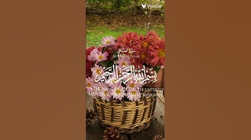 سورة الضحى💚🎧