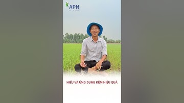 APN - Hiểu và ứng dụng kẽm hiệu quả #shorts #kỹ_thuật_canh_tác_lúa
