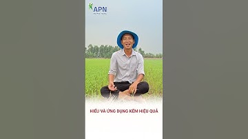 APN - Hiểu và ứng dụng kẽm hiệu quả #shorts #kỹ_thuật_canh_tác_lúa