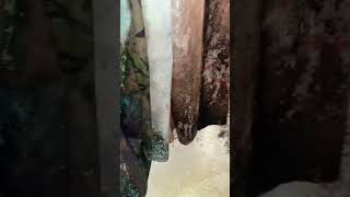 Moldiest Bathroom Ever