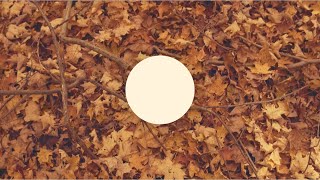 Chapter 1: COUNTRYSIDE [J.Views - Organic Electronics 2]
