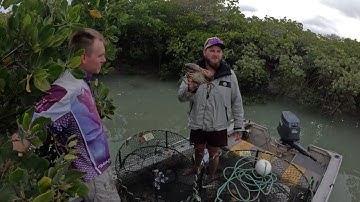 Mud Crab CATCH & COOK