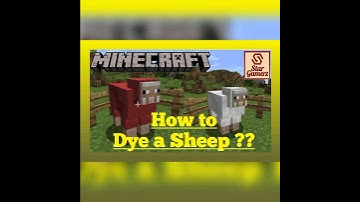 How to Dye a Sheep in Minecraft ?? For Basic Learners