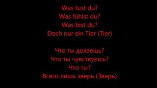 Tier - Rammstein HD Lyrics Текст песни и перевод