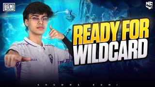 READY FOR WILDCARD🥷| NebulaKNOWME💜