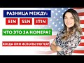 Разница между: EIN, SSN, ITIN | Что это за номера? | Когда они используются?