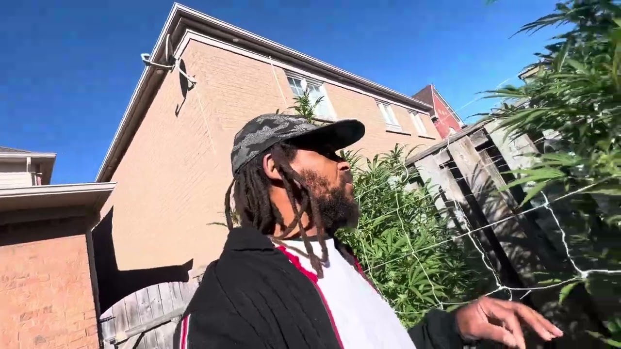 September 2025 Outdoor grow