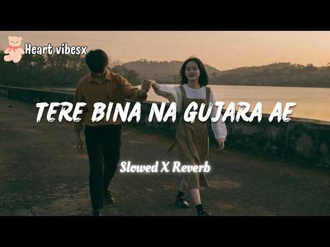 Tere Bina Na Guzara E (Slowed + Reverb) - ❤ | #lofi | HEART VIBESX