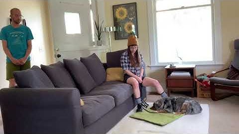 Open bar/Closed bar - guest/doorbell reactivity - session 1