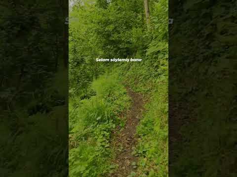 Unuttun Mu Kapinda Gece Kalduklarumi 