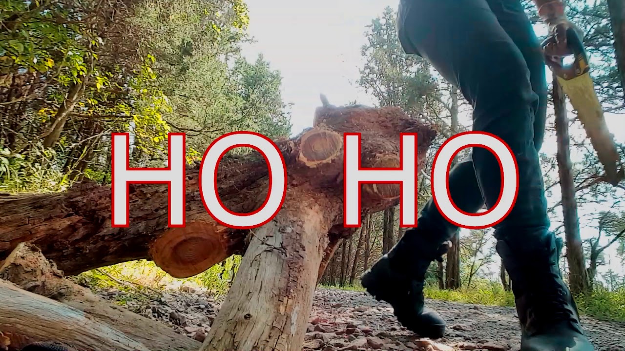 fat log