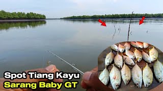 Langsung Panen..! Mancing Di Spot Tiang Kayu Di Tengah Muara yang Jadi Sarang Baby GT