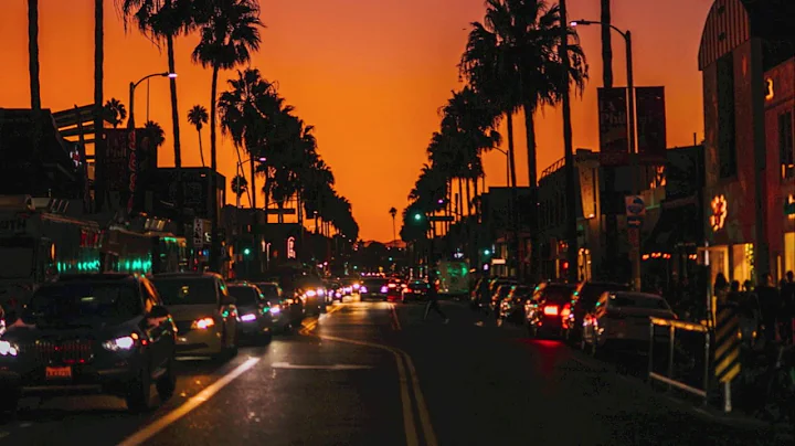 TM Juke - Bee's On Mars (HD)