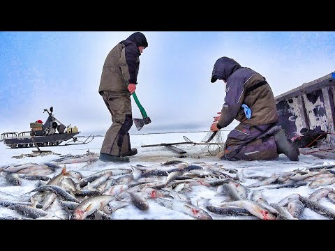 Видео: РЫБАЛКА ЧТОБЫ ВЫЖИТЬ! ОДНА ЛУНКА 100 "КРОКОДИЛОВ"! Рыбалка в Заполярье часть 9