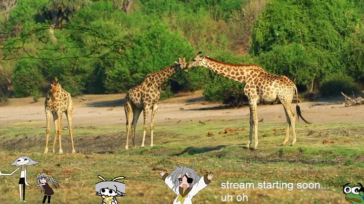 Lexx S1E2 Eating Pattern. Zev and Stan go on a desperate search for Brunnis, Kai's home planet, in o