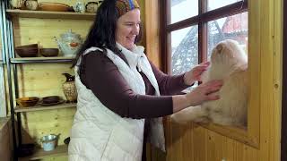 Experience Traditional Ukrainian Cooking in Village Life Like Never Before