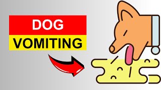 Home Remedies For Vomiting In Dogs by mypethow 29 views 2 months ago 2 minutes, 51 seconds