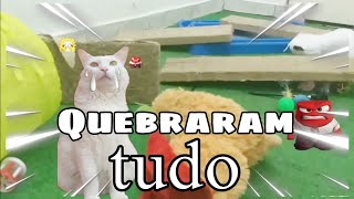 Quebraram tudo!  A verdadeira história gato Nutella & gato raiz by Floquinho o Gato 1,313 views 11 months ago 3 minutes, 38 seconds