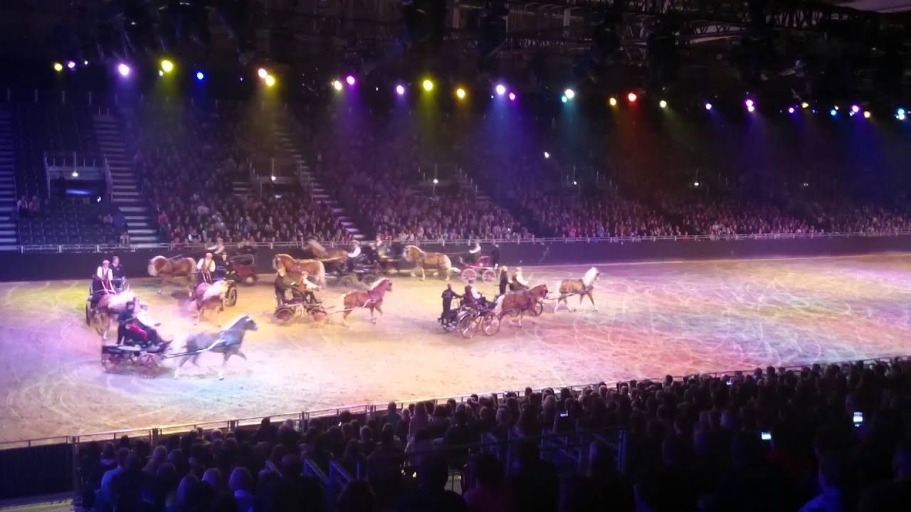 Haflinger Luber Einspänner-Quadrille Equitana 2015 HOP TOP Show Amirando