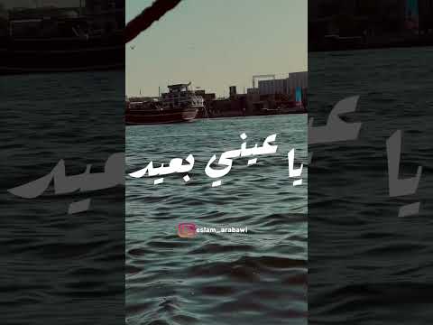 أغنية بطمن عليك عمرو دياب
