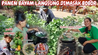 GEMOY PANEN BAYAM LANGSUNG DIBIKIN BOBOR ‼️ mba sus bakar pepes ikan di tungku