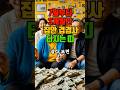 7월부터 집안 겹경사 터지는 띠 💰#띠별운세 #재물운 #풍수