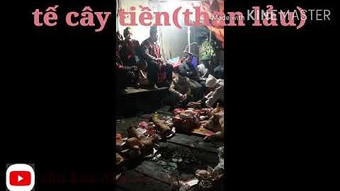 Chọn bộ 3 bài trong tế cây tiền