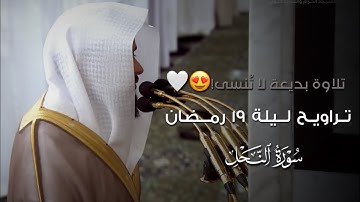 صلاة التراويح ليلة ١٩ رمضان ١٤٤٥هـ من #المسجد_النبوي | تلاوة فضيلة الشيخ د.#عبدالله_القرافي