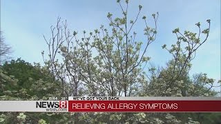 Pollen on a ragweed plant. Warmer weather brings high pollen count