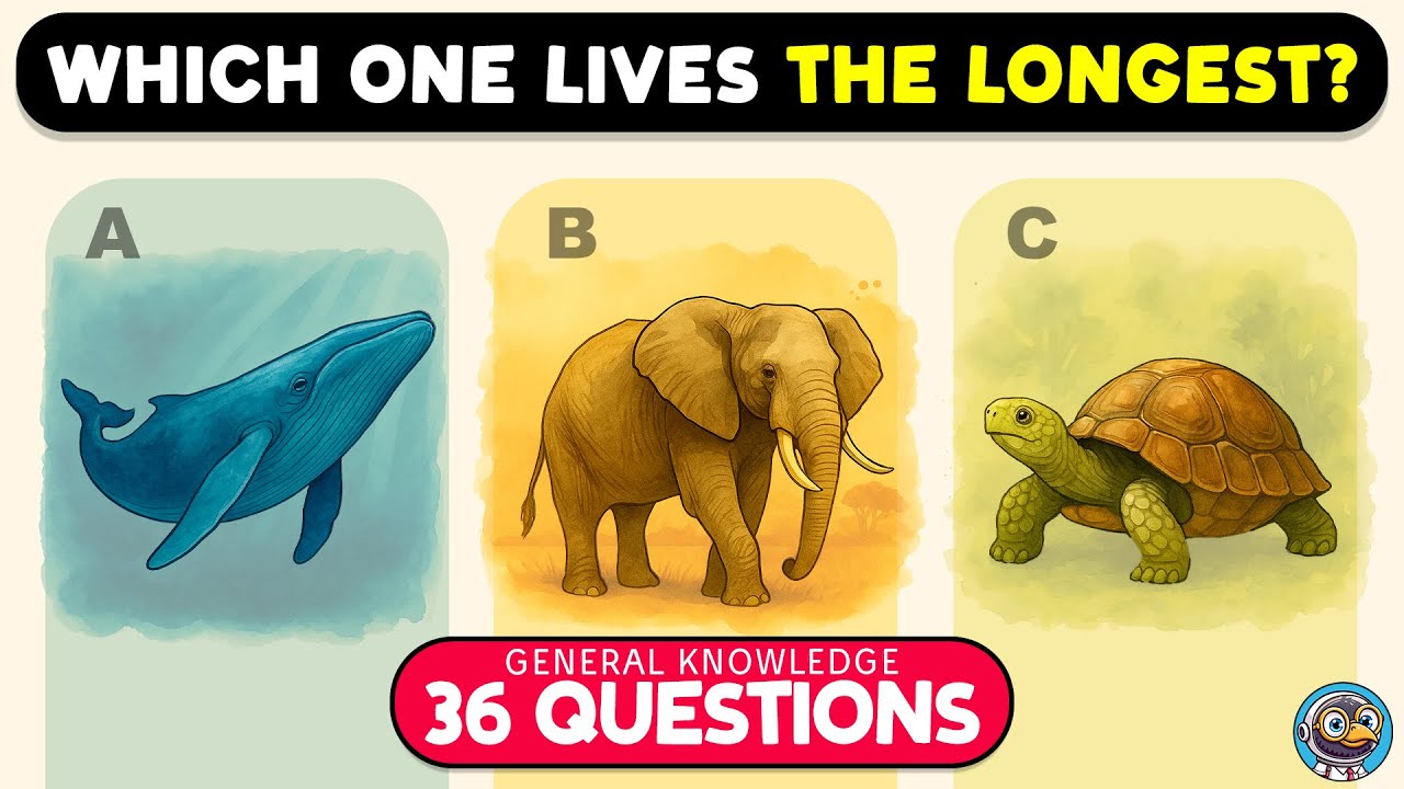 🪶🧠 Думаете, вы умный? Докажите это в этой викторине! 🧠🪶